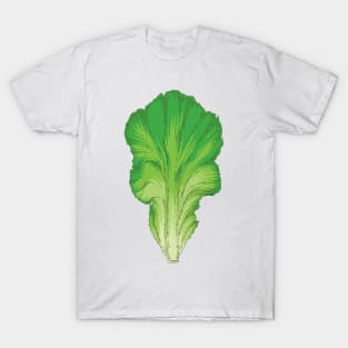 Lettuce T-Shirt